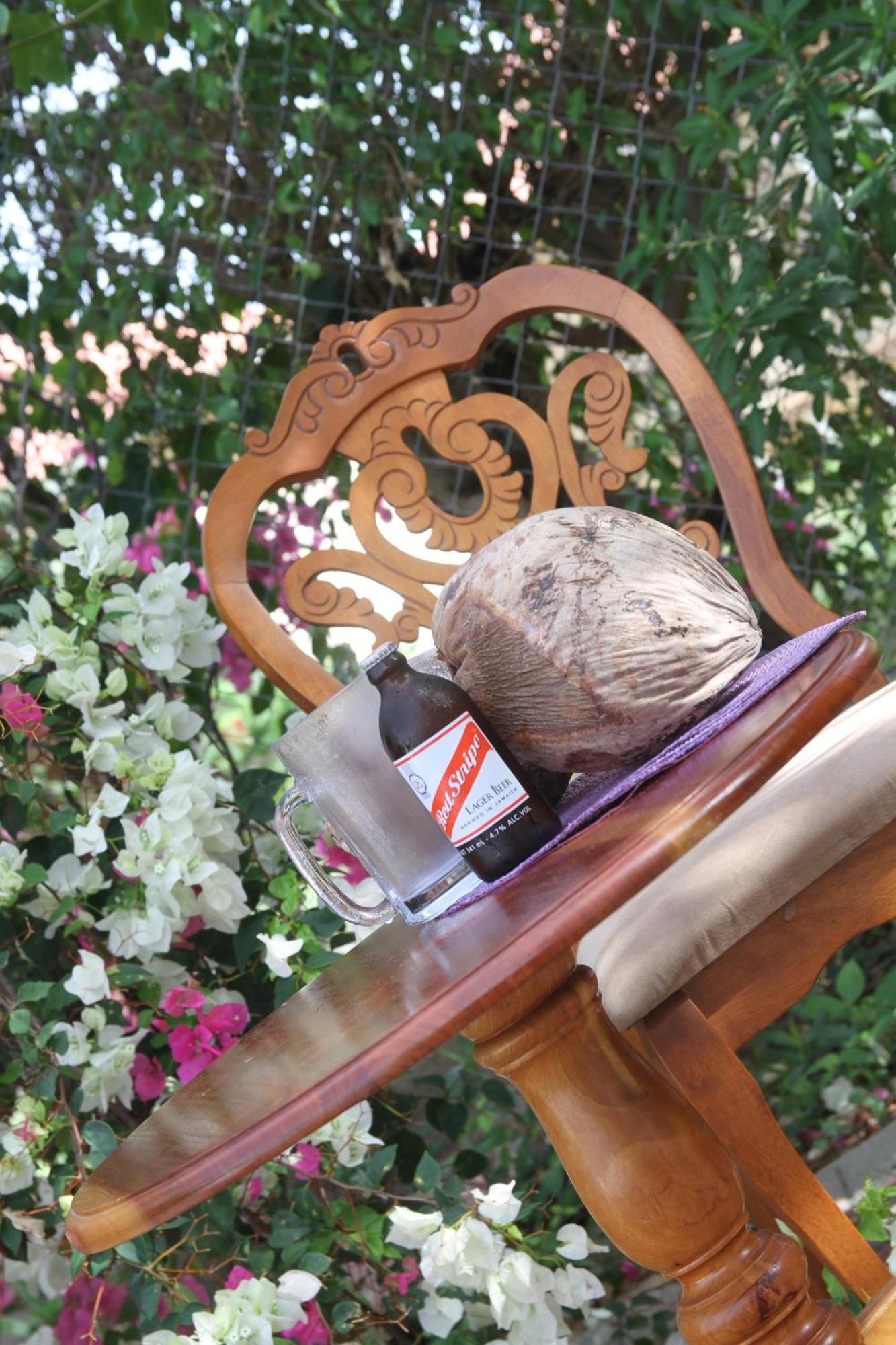 Sweetsop Jamaica Villa And Tours Montego Bay Dış mekan fotoğraf